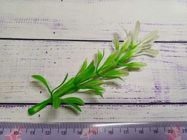 Добавка одиночна водорість, 8см