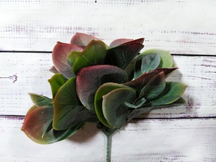 Додаток. Лаврове листя
