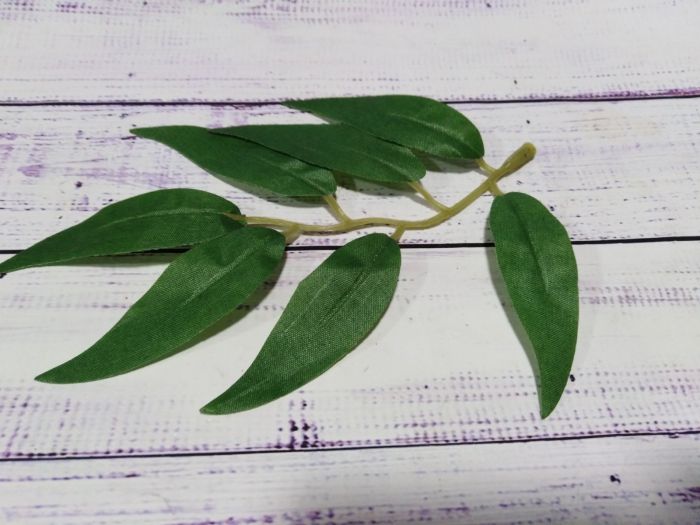 Листя оливи